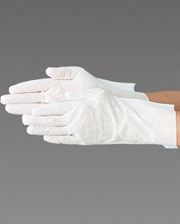 Clean Gloves (SL type/29cm long)