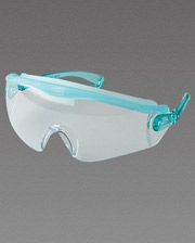 Protective eyeglasses (SN730)